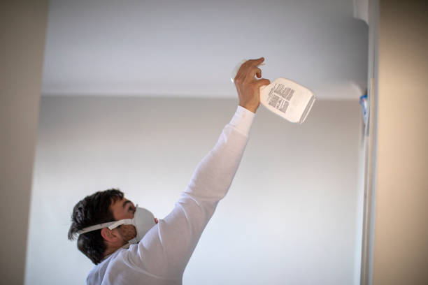 Best Office Mold Removal Services  in South Lancaster, MA