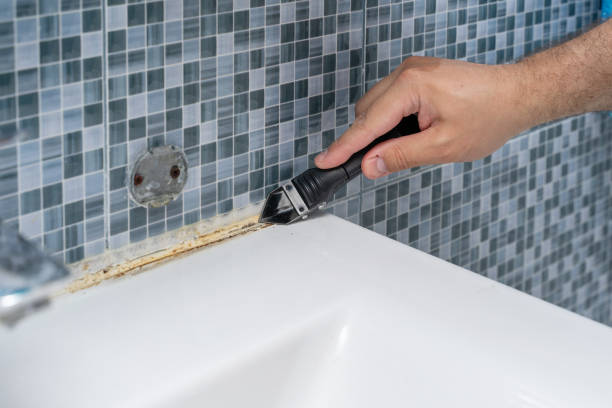 Mold Testing and Removal in South Lancaster, MA